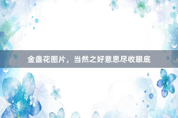 金盏花图片，当然之好意思尽收眼底