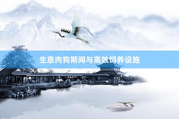 生息肉狗期间与高效饲养设施